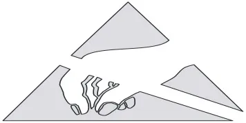 MHS Brand & Wasserschaden – Brand & Wasserschadensanierung